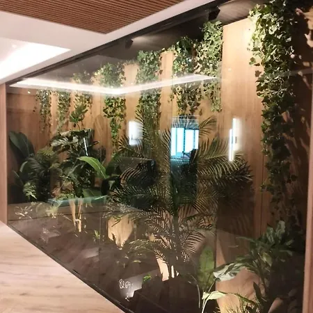 Amaliana By Florideiulie Brassó