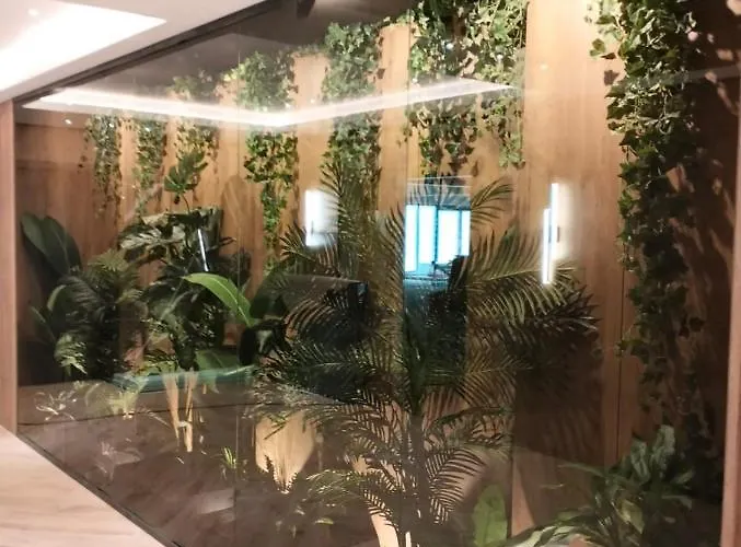 Amaliana By Florideiulie 브라쇼브